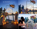 A Golden Hour Marriage Proposal
