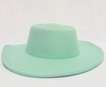 Plain Pastel Green Hat