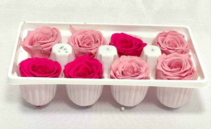 Preserved Pink Roses