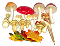 Artificial Mushrooms & Artificial Maple Leaves (102 pcs.)