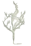 Silver Sparkling Christmas Tree Branch