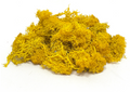 Preserved Reindeer Moss (Mustard Color)