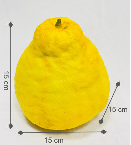Ponderosa Artificial Lemon