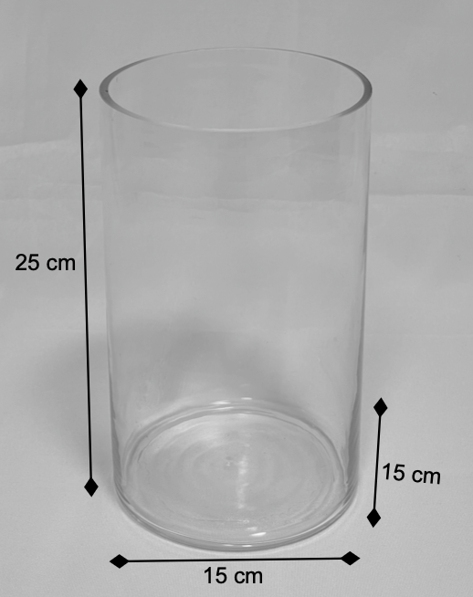 Clear glass cylinder vase