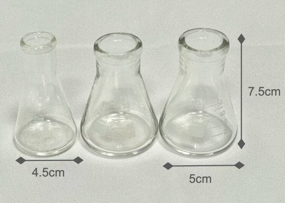 Erlenmeyer flasks