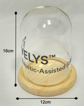 Wooden base glass dome