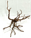 Spider Wood