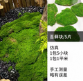 Artificial Moss pack of 5pcs.