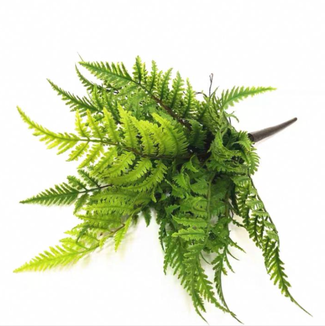 Artificial Fern Plant