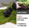 Moss Patch