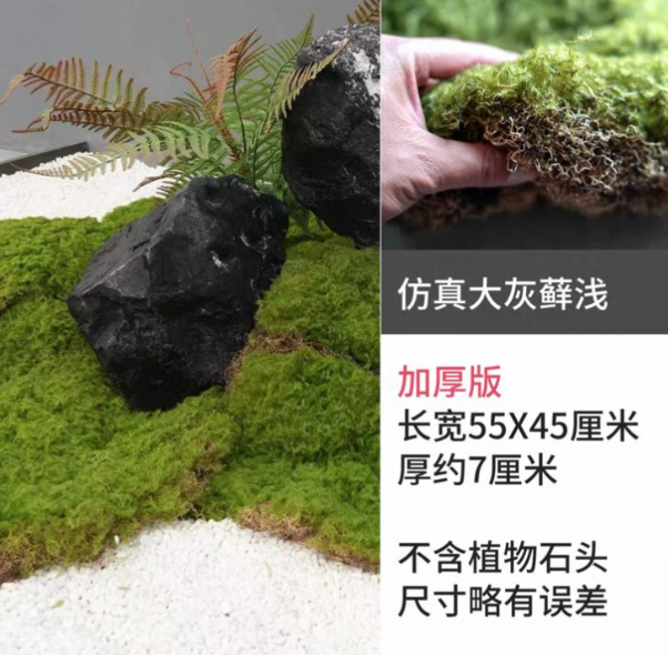 Moss Patch