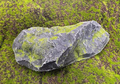 Artificial Rock Fiberglass Rock