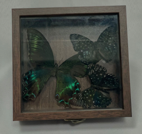 Wooden Box with Latch