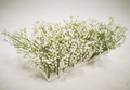 White Flower Arrangement B1