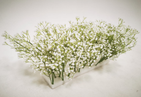 White Flower Arrangement B1
