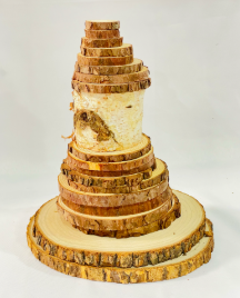 Cut Oak Log Slices