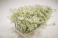 White Flower Arrangement B2