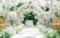 Wedding Reception Package