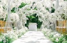 Wedding Reception Package